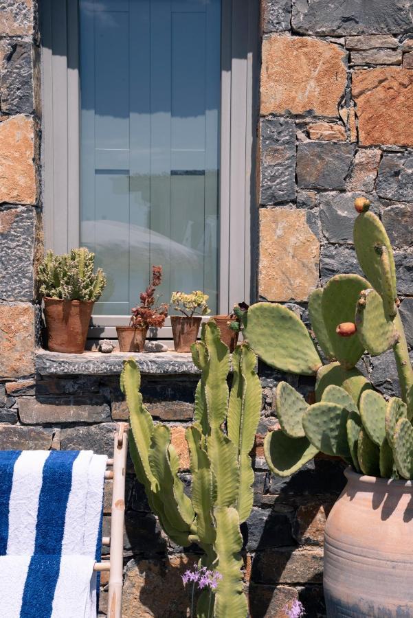 Villa Aiolos: Above The Sea, Within Agios Nikolaos Ngoại thất bức ảnh